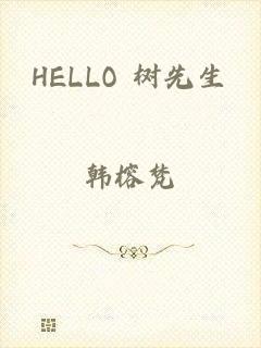 HELLO 树先生